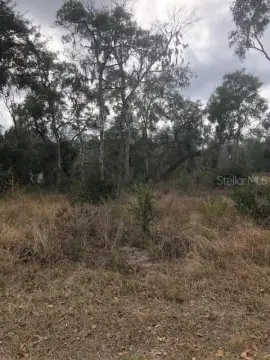 Waterfront Lot For Sale