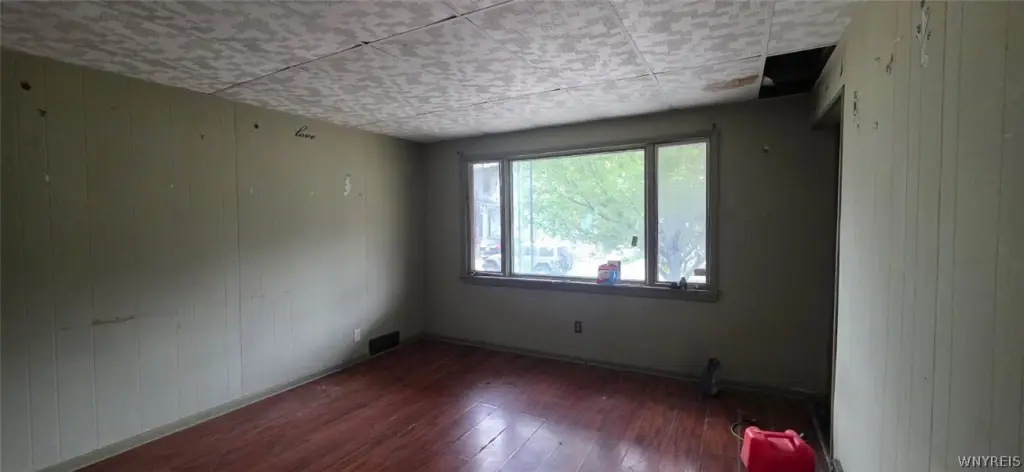 Picture 21