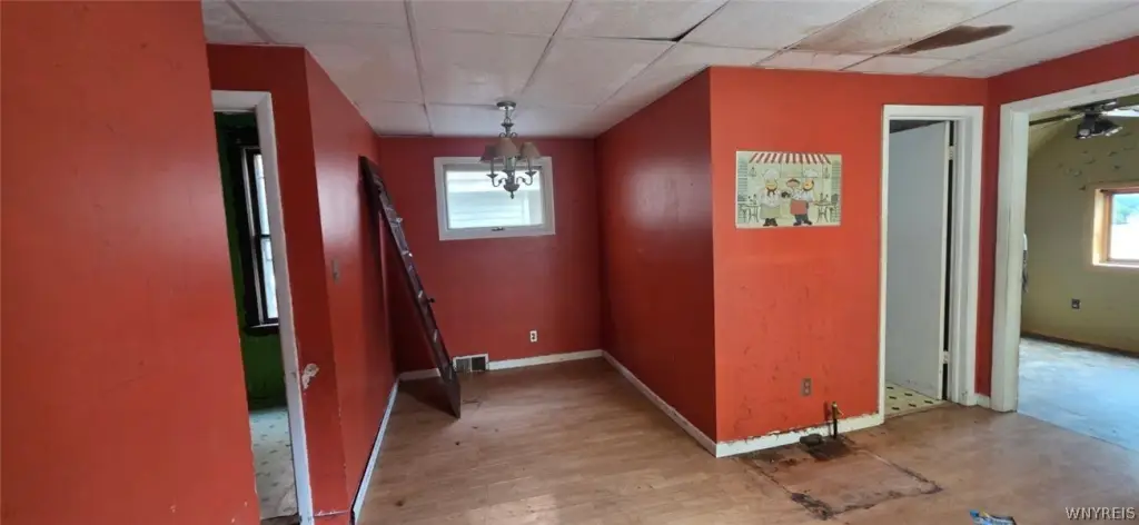 Picture 7