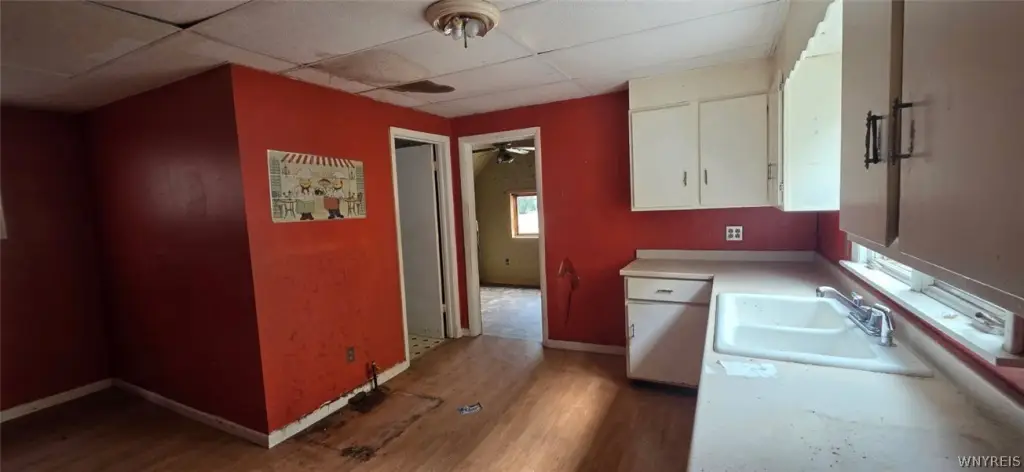 Picture 6