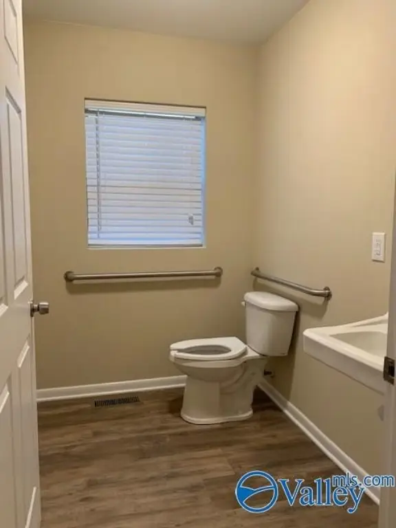 Picture 11