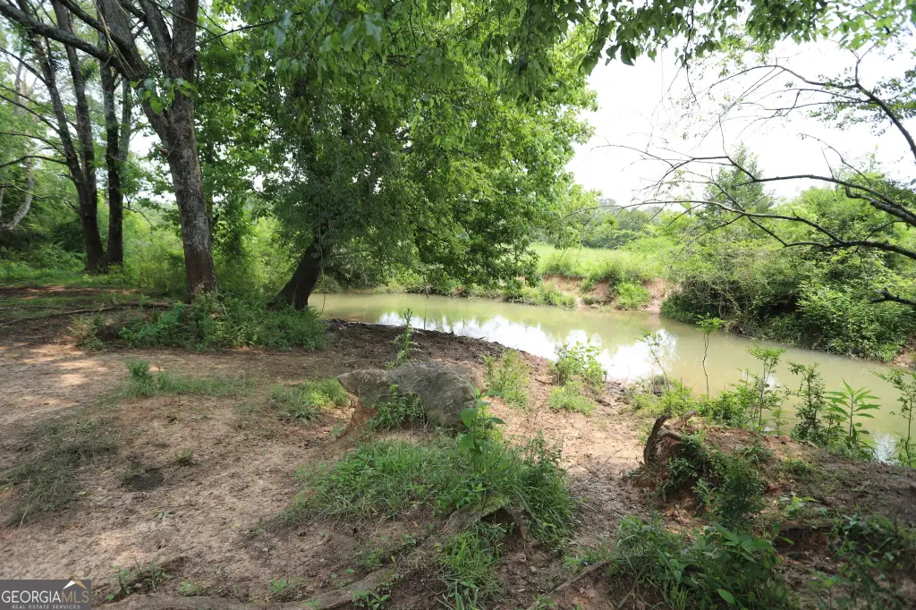 Picture 57