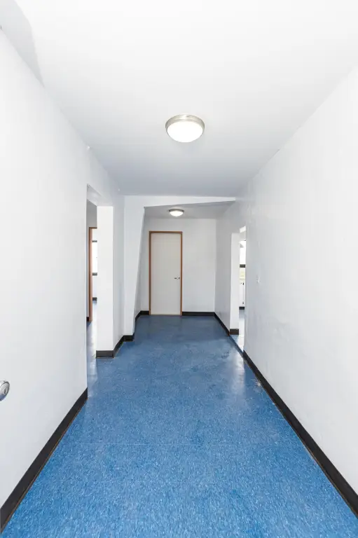 Picture 33