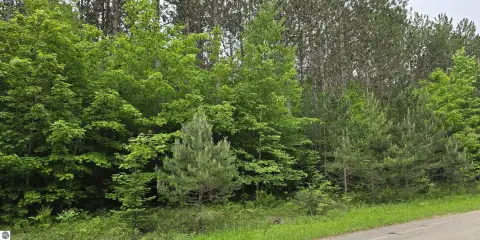 Wooded Lot Near Golf Course