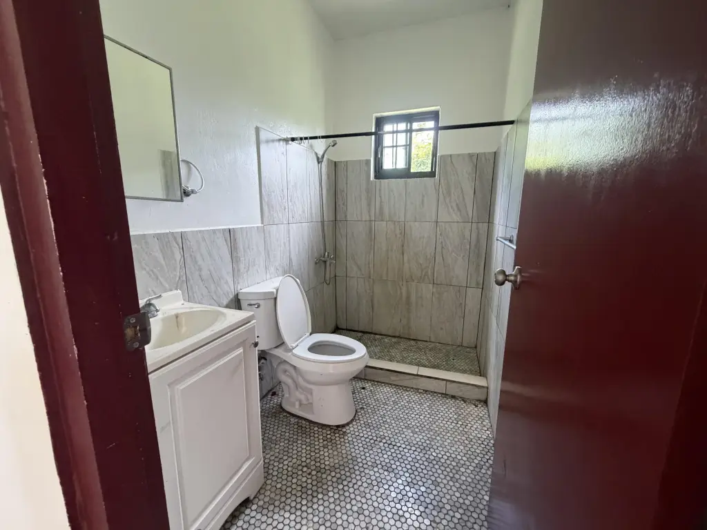 Picture 27