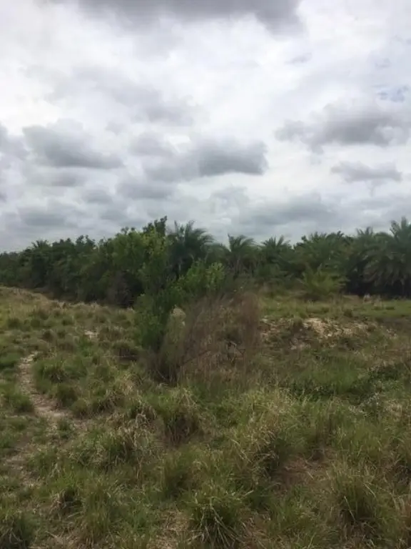 Picture 3