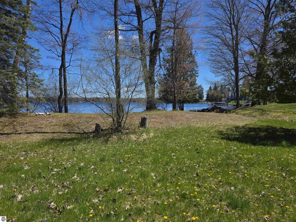 Picture 9
