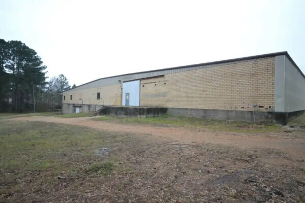 Picture 5