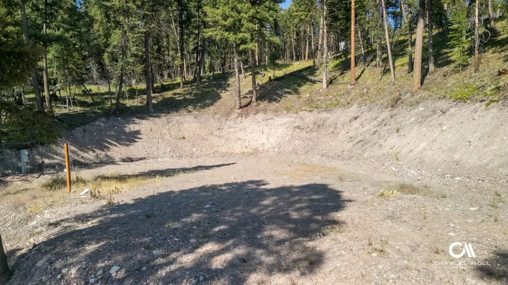 Picture 6