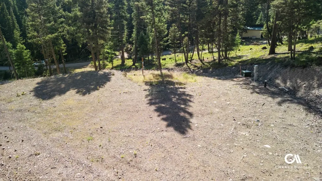 Picture 13