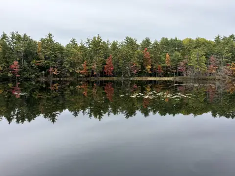 Land For Sale, Limerick, ME