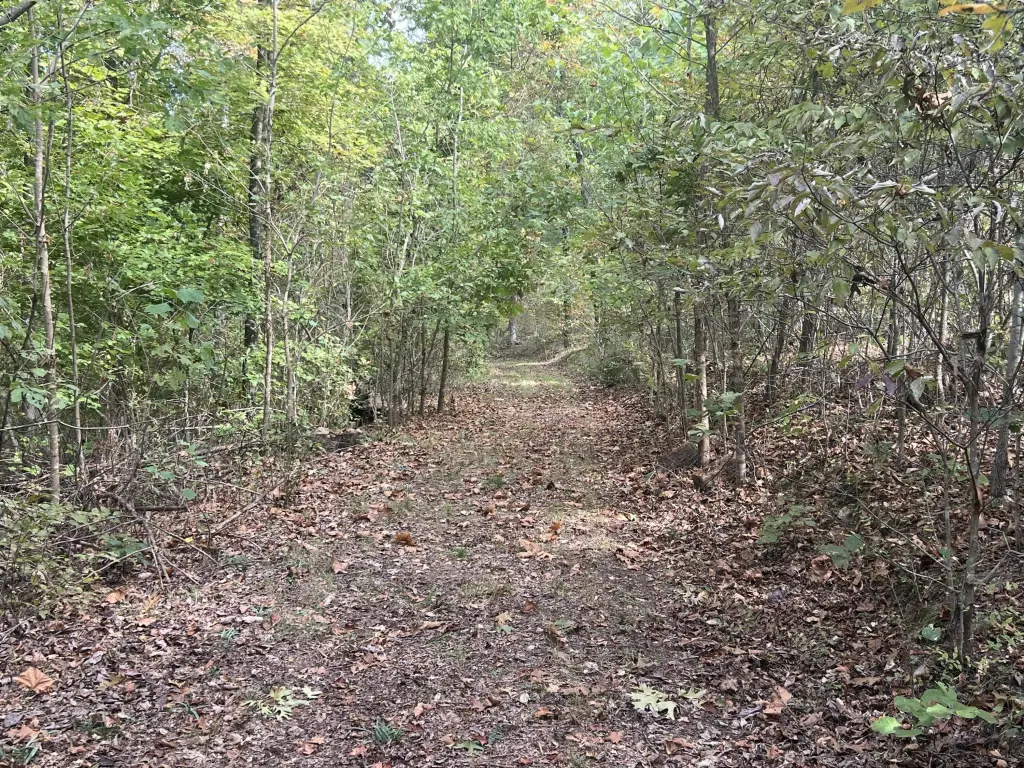 Picture 45