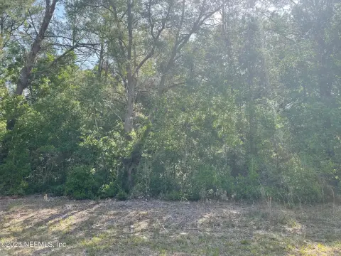 Land For Sale, Florahome, FL