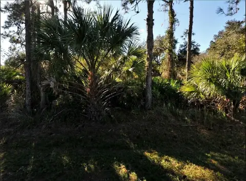 Residential Lot in North Port