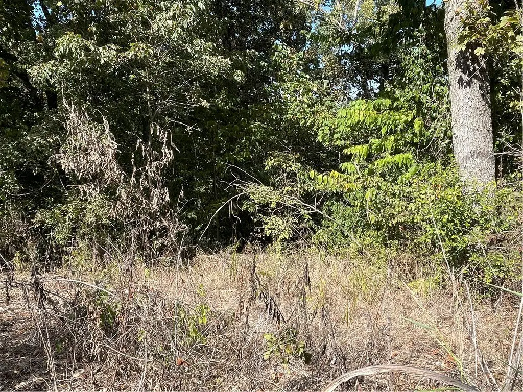 Picture 7