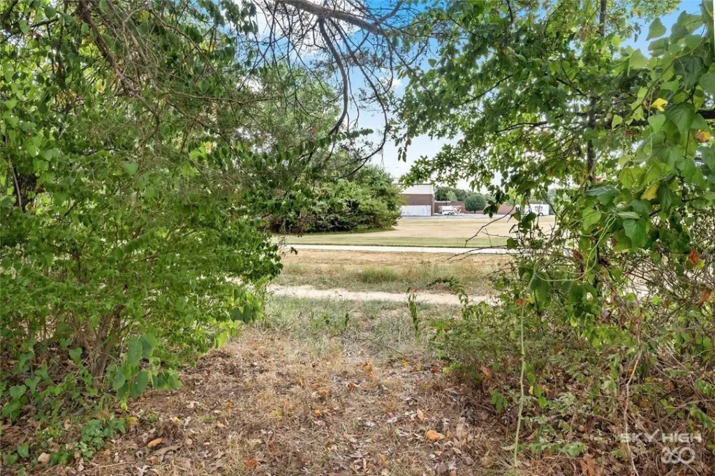 Picture 21