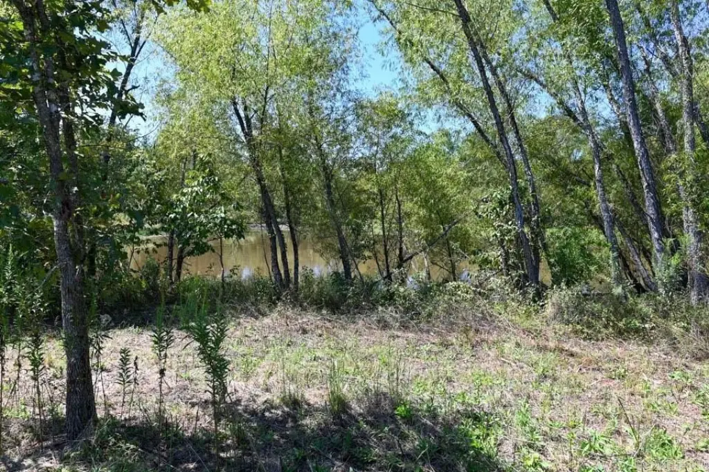 Picture 20