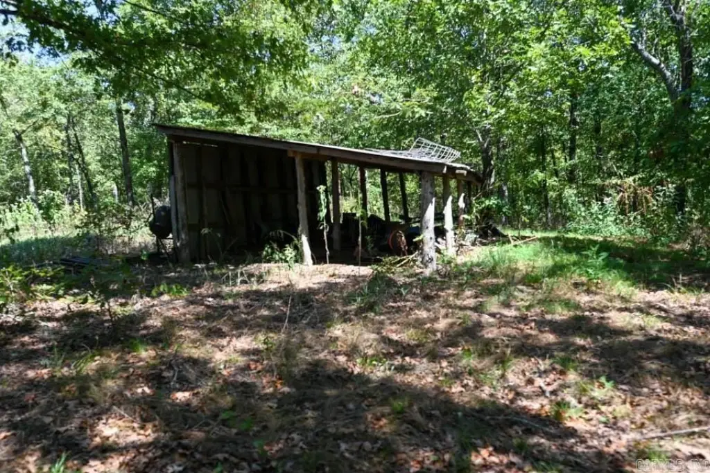 Picture 38