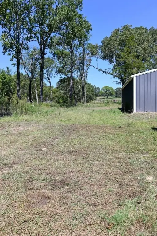 Picture 11