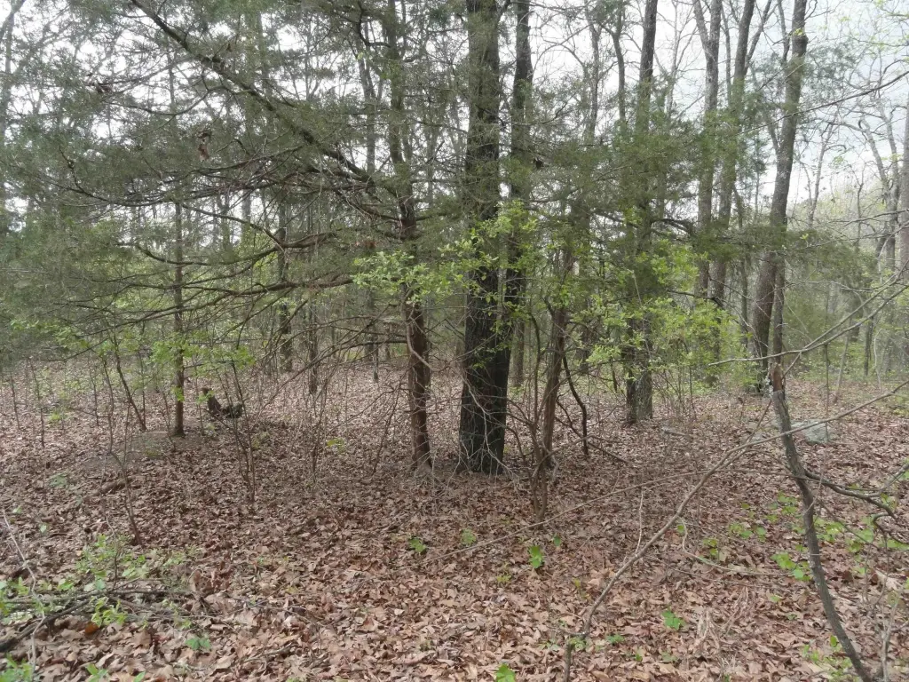 Picture 28