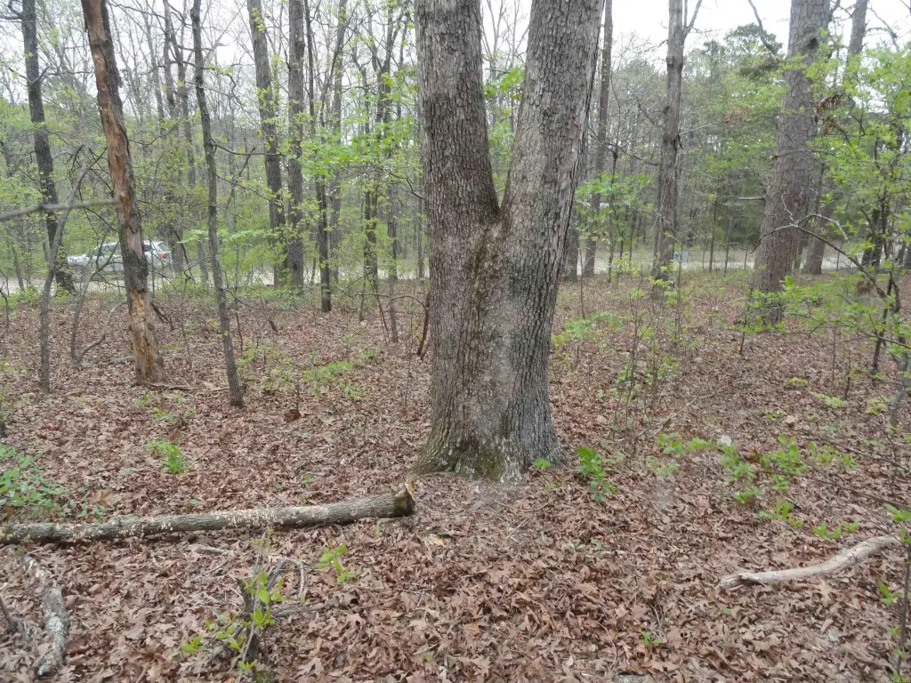 Picture 19