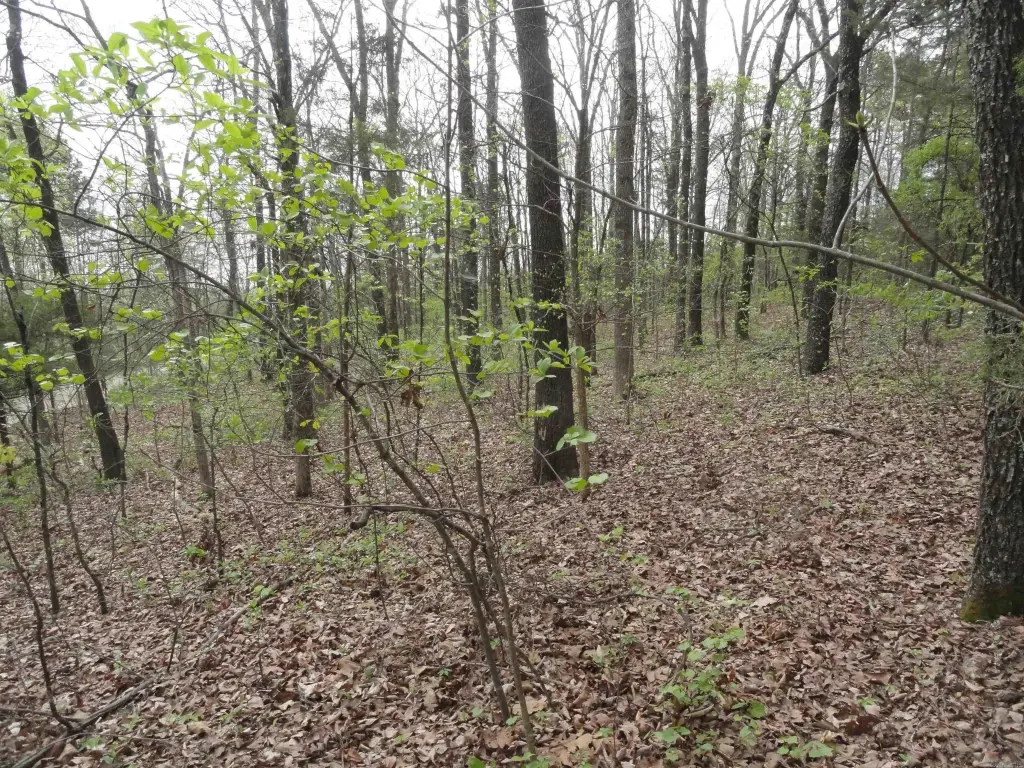 Picture 23