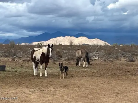 Expansive Yucca Land with Utilities