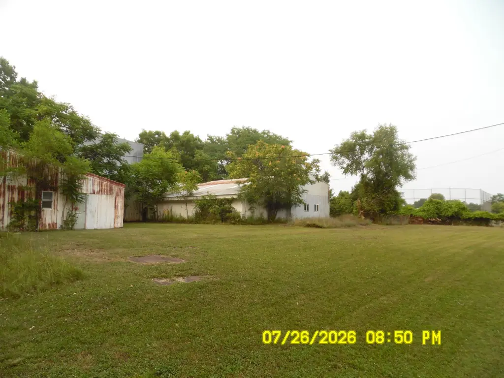 Picture 3