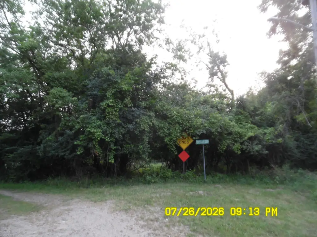 Picture 18