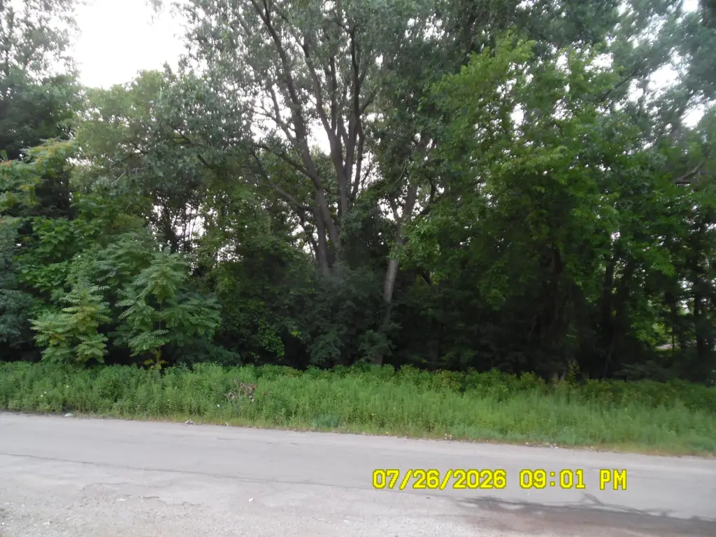 Picture 16