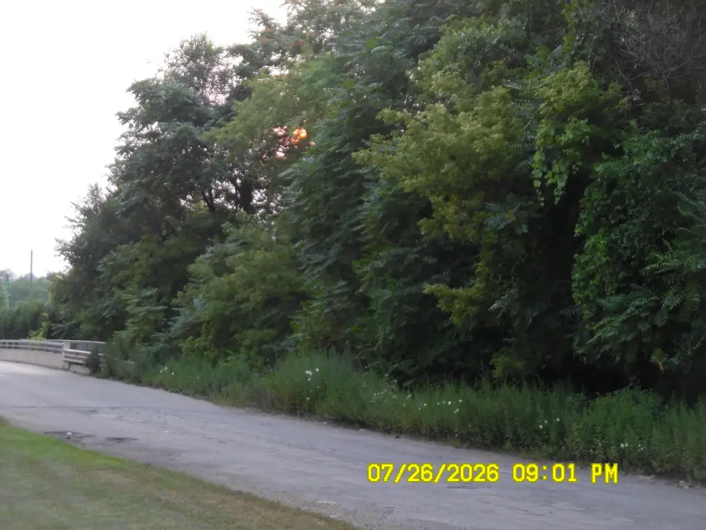Picture 17