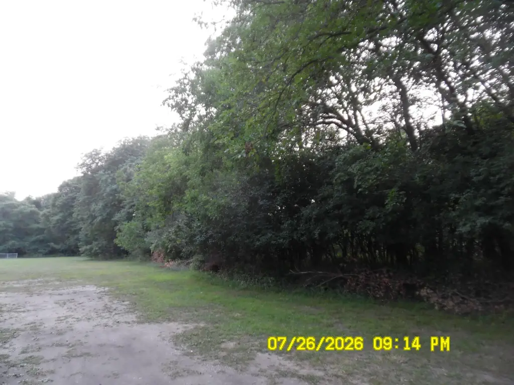 Picture 20