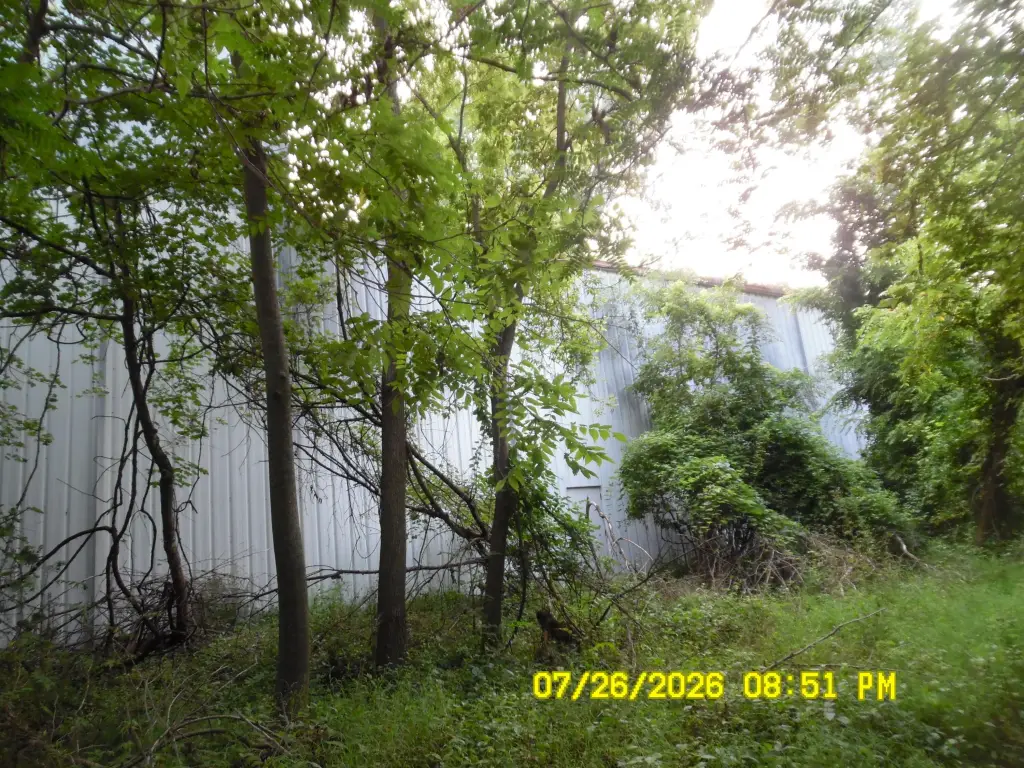 Picture 7