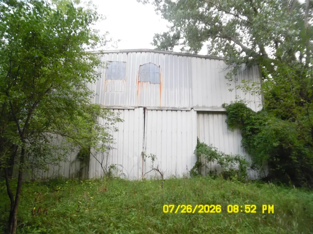 Picture 8