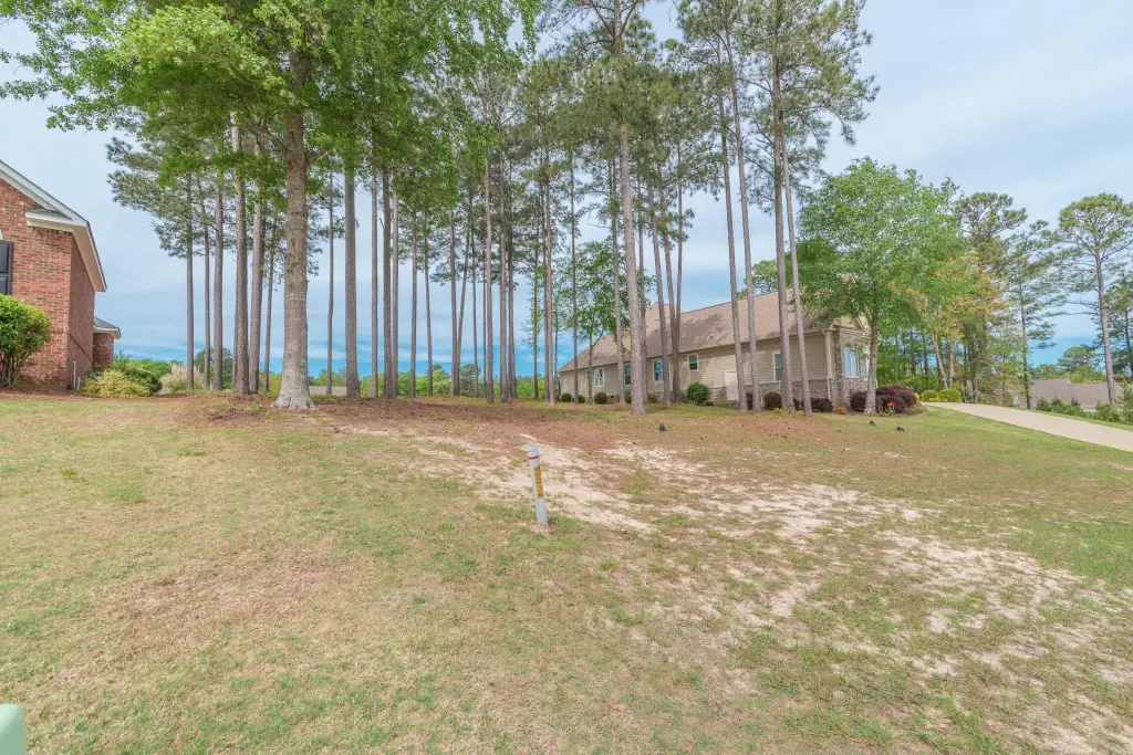 Picture 3