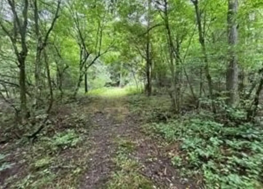 Picture 7