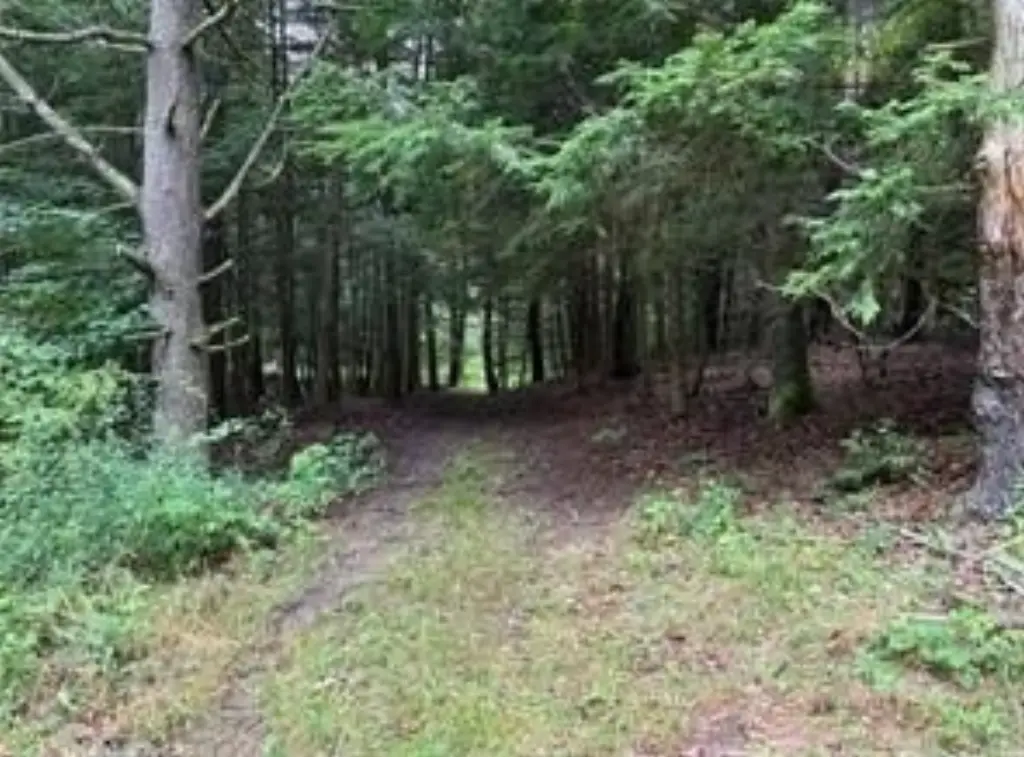 Picture 2