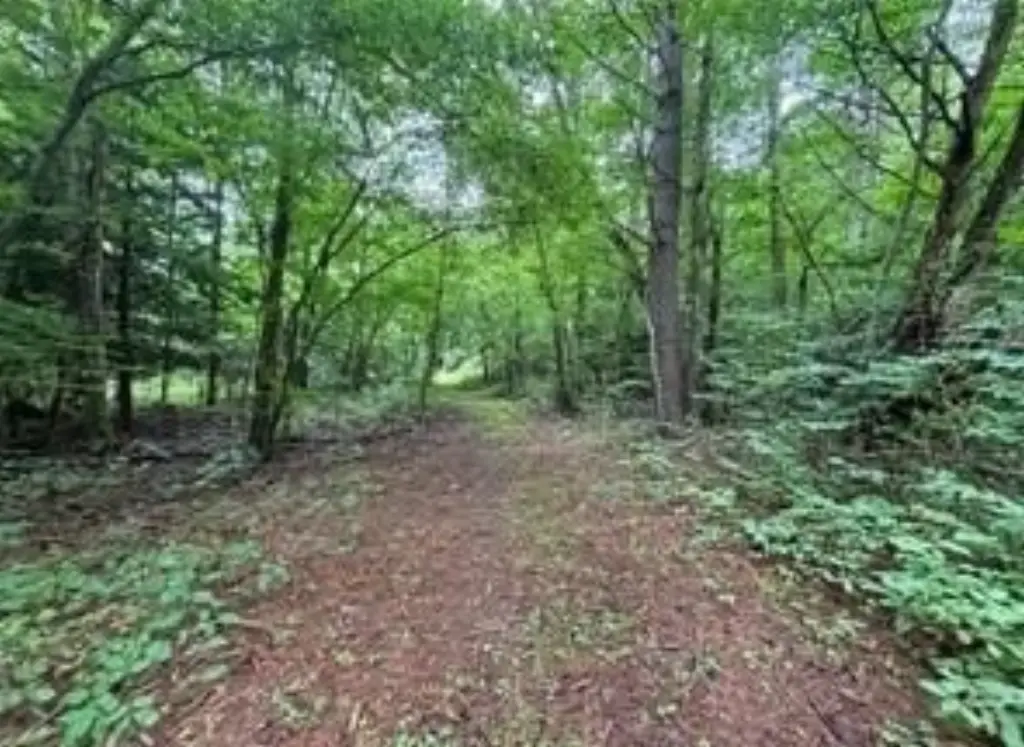 Picture 6