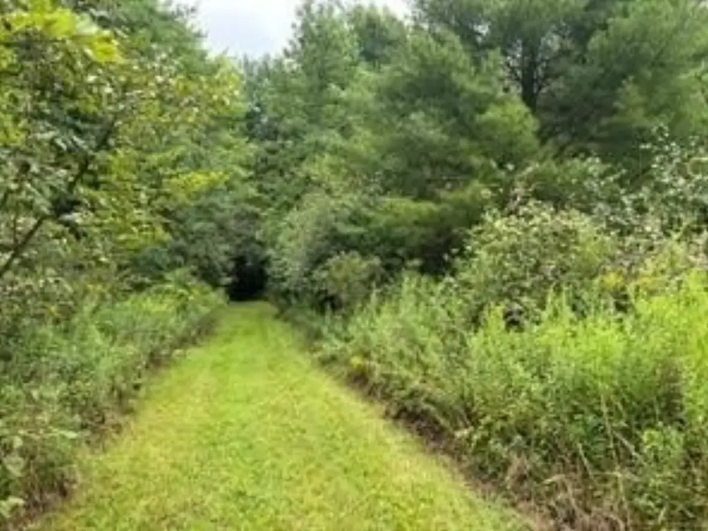 Picture 10