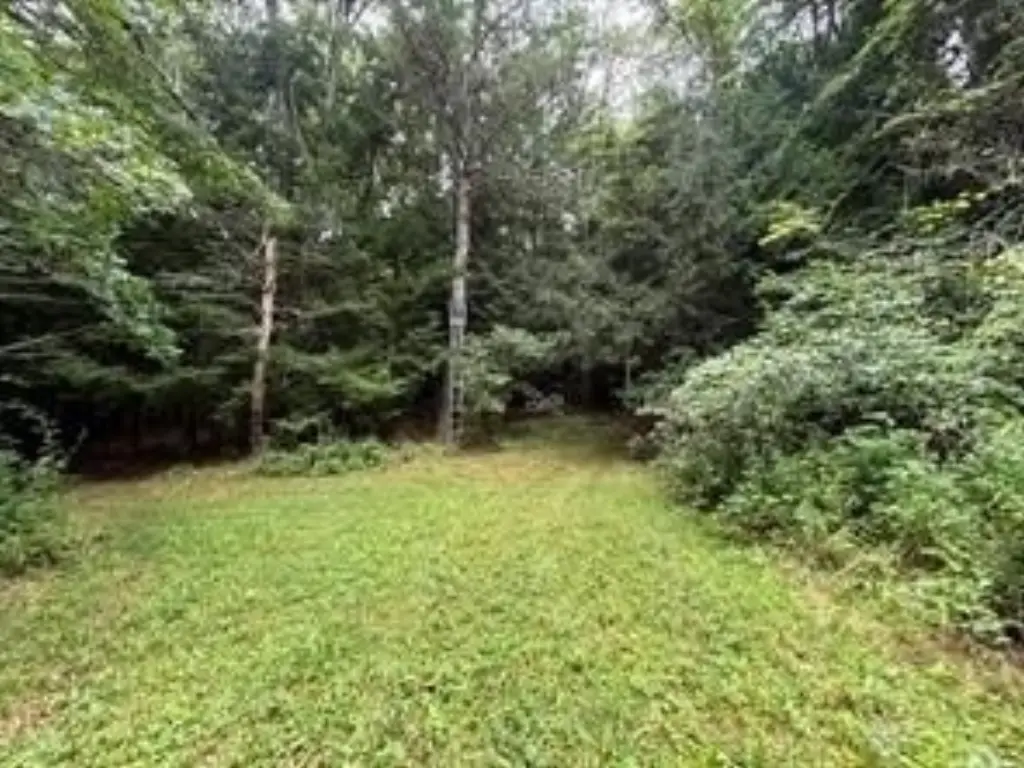 Picture 13