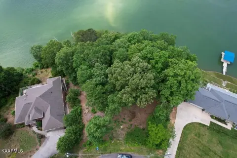 Douglas Lake Waterfront Property