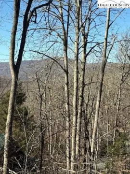 Wooded Lot on Sugar Mountain