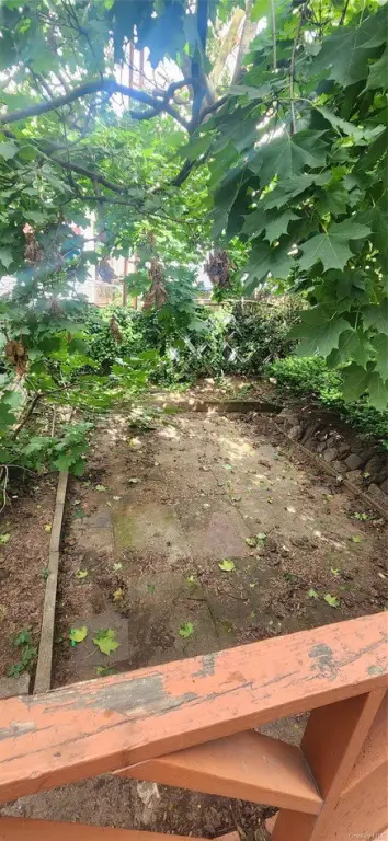 Picture 5