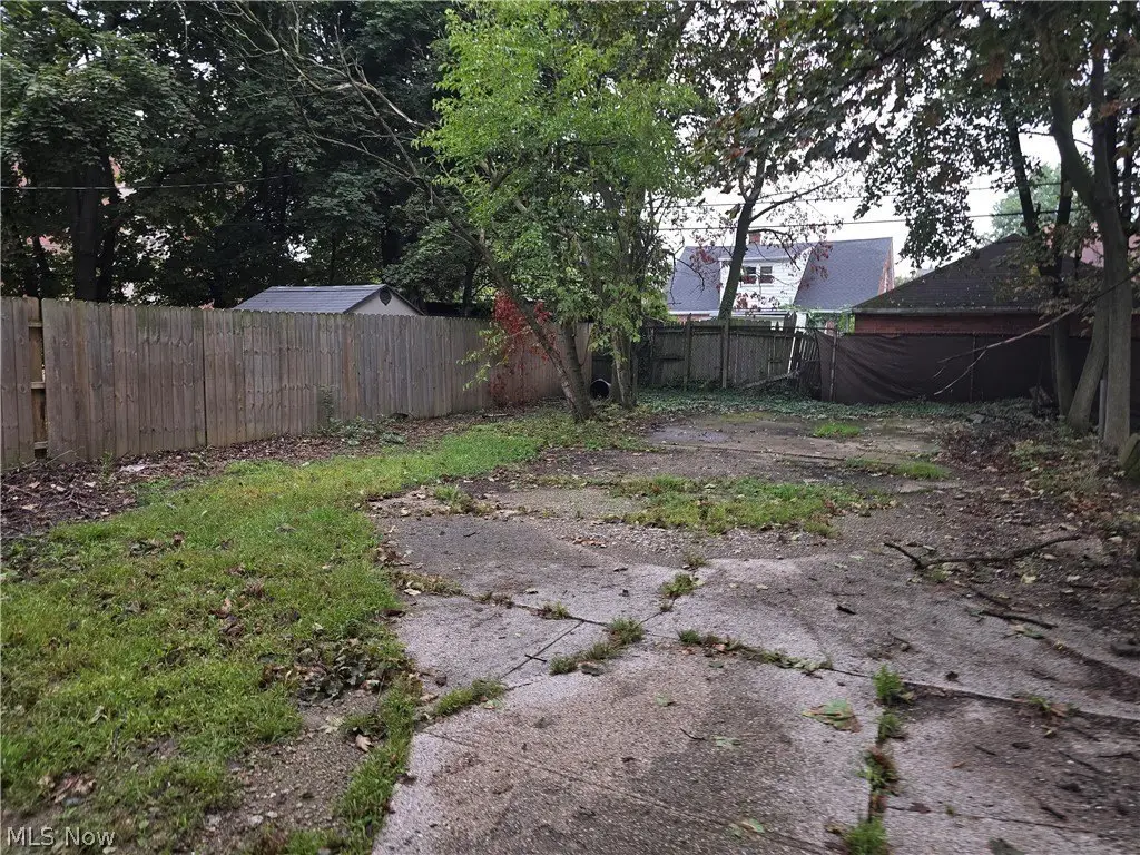 Picture 21