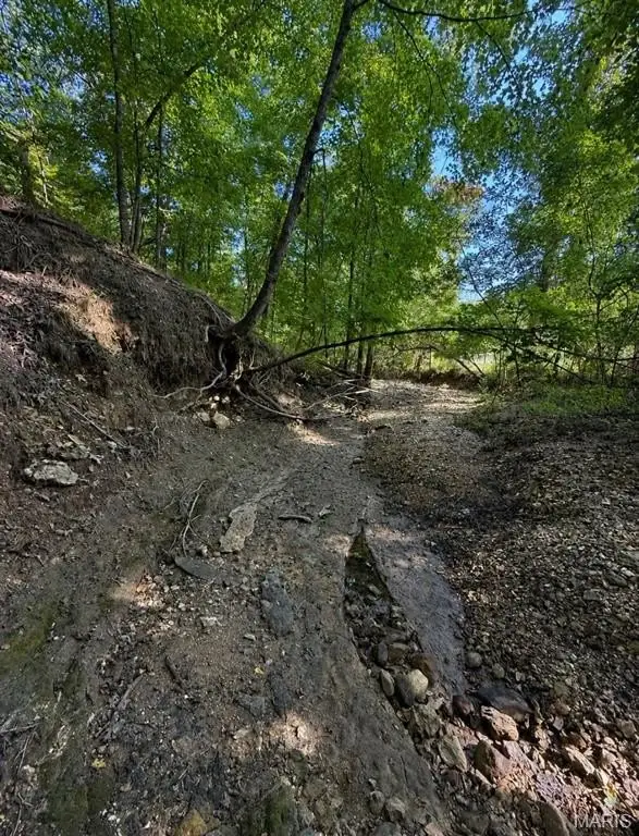 Picture 27