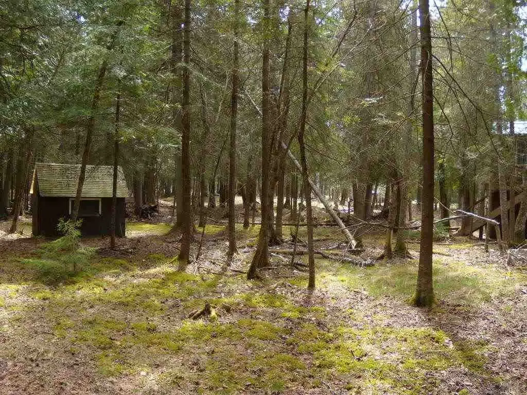 Picture 19