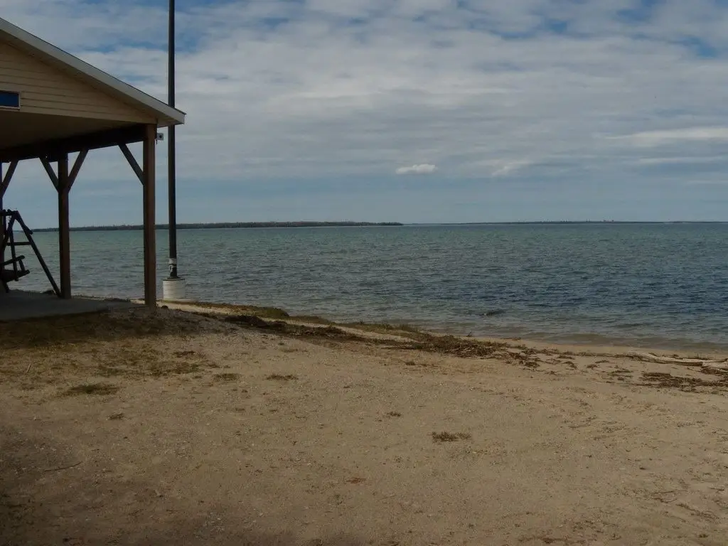Picture 9