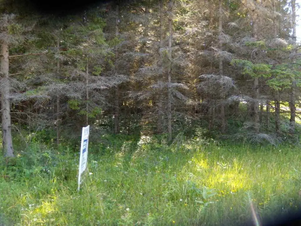 Picture 15