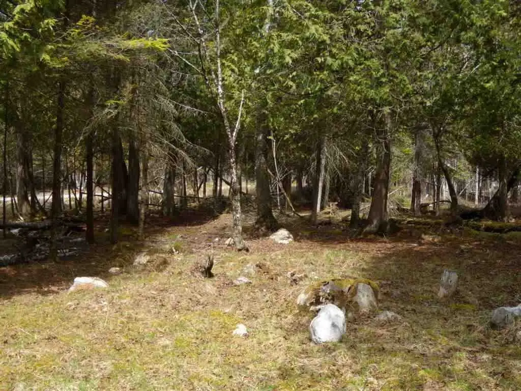 Picture 17