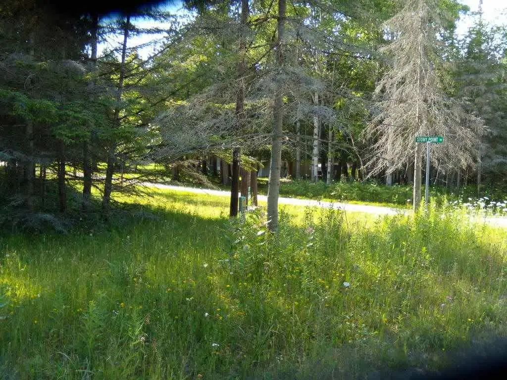 Picture 12
